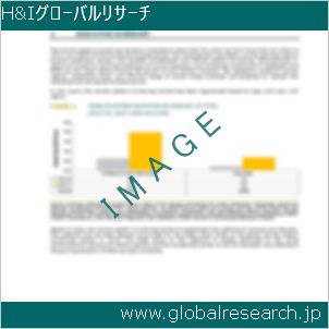 グローバルリサーチ調査レポートのイメージ
